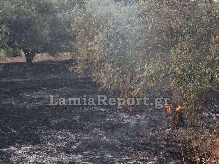 Υπό έλεγχο η πυρκαγιά στις Κομποτάδες 