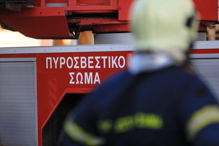 Φωτιά τώρα στο Παλαιόκαστρο Λάρισας | Επιχειρούν ισχυρές δυνάμεις της Πυροσβεστικής