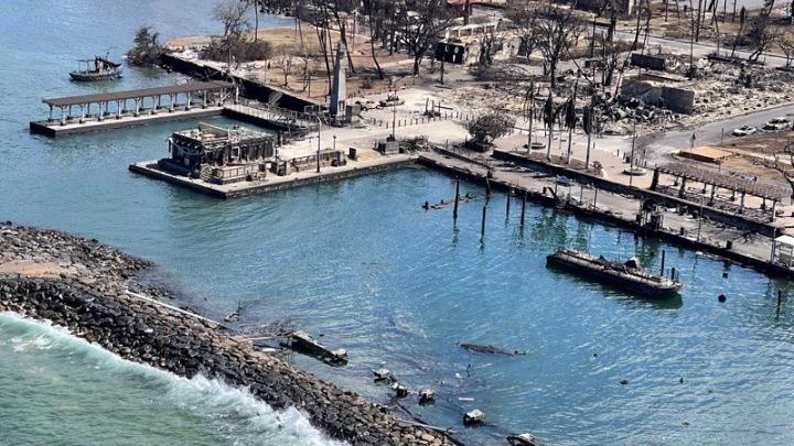 Στους 101 οι νεκροί από τις πυρκαγιές στη Χαβάη