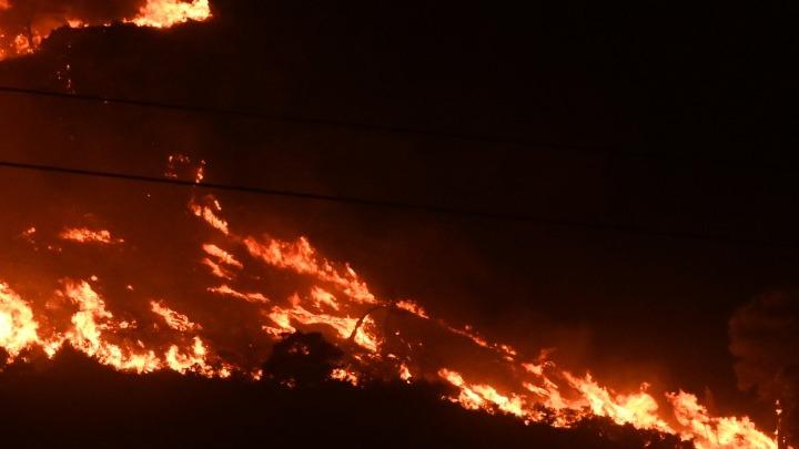 Φωτιά στην Αλεξανδρούπολη: Βοήθεια από Κύπρο και Ρουμανία – Στέλνουν πυροσβέστες και αεροσκάφη