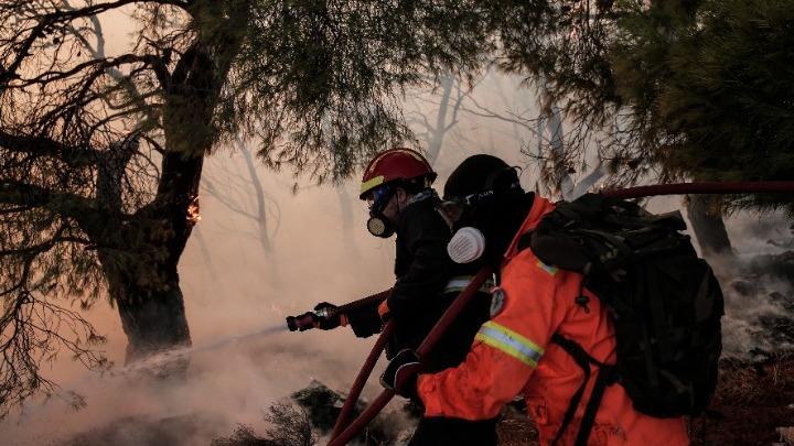 Ψαχνά – Ν. Αρτάκη: Καλύτερη η κατάσταση – Ο κίνδυνος είναι οι αναζωπυρώσεις