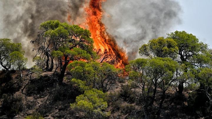 Πυρκαγιές: Ενεργοποιήθηκε η υπηρεσία Copernicus για πληγείσες περιοχές