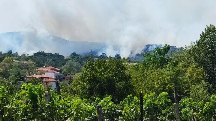 Έβρος: Οδοιπορικό στη Δαδιά