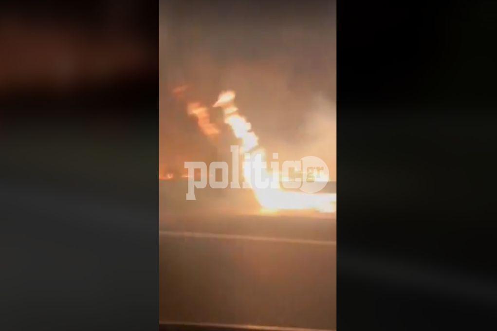 Φωτιά λίγο έξω από την Ξάνθη – Δίπλα σε μαντρί οι φλόγες – Έφτασαν Εγνατία Οδό (ΒΙΝΤΕΟ)