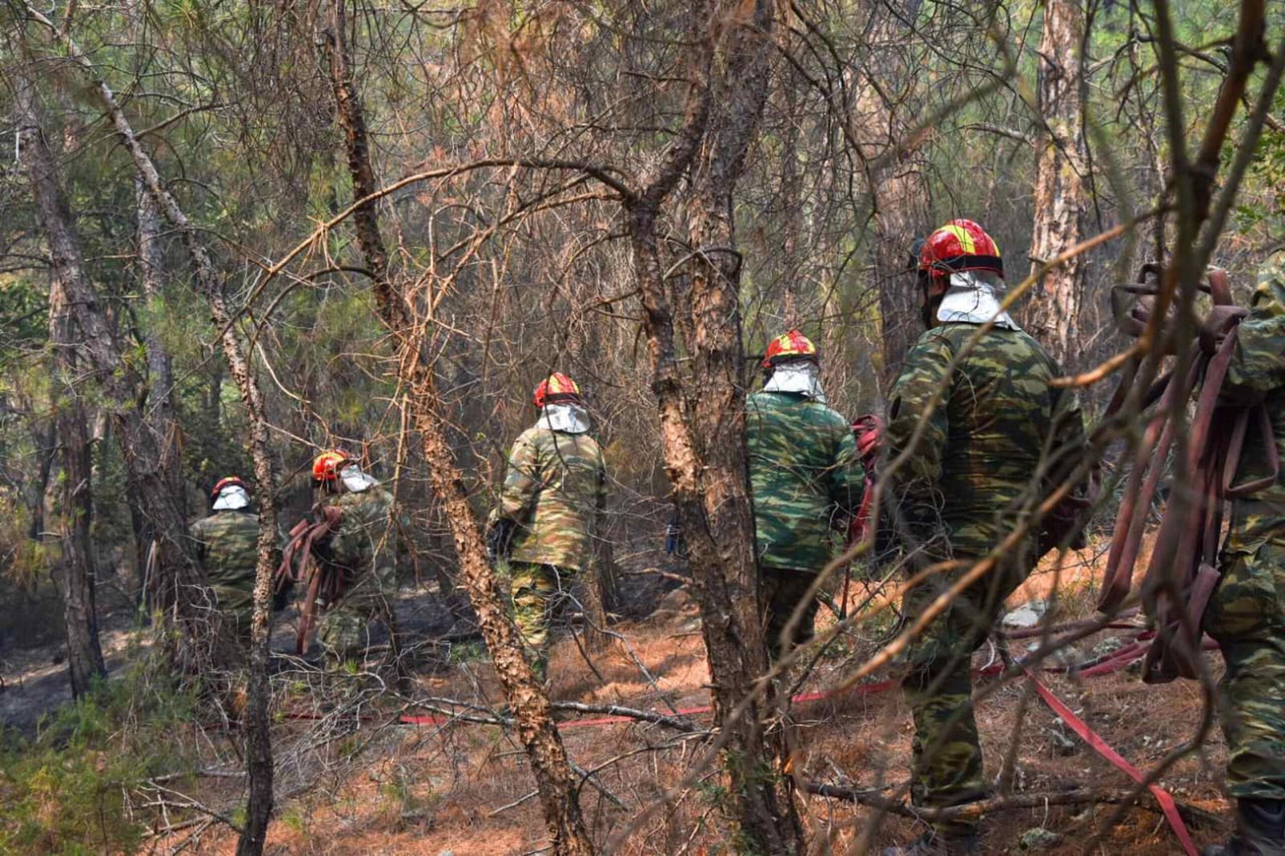 Φωτιά στον Έβρο: Μαίνεται η πυρκαγιά – Περικύκλωσαν το Σουφλί οι φλόγες