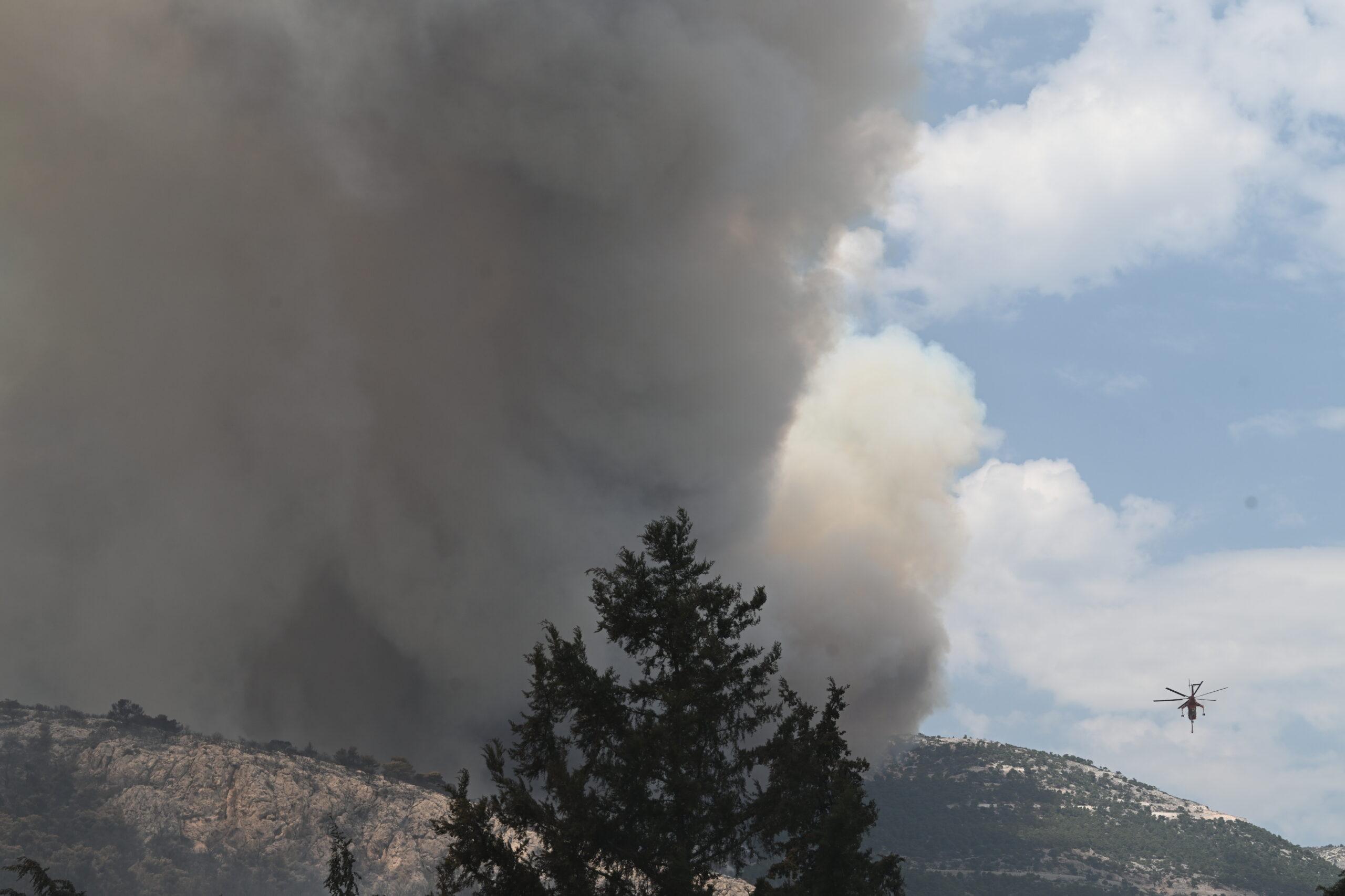 Έτσι κάηκε η Πάρνηθα το καλοκαίρι – Διάφορες εστίες μακριά από το κύριο μέτωπο (ΒΙΝΤΕΟ)
