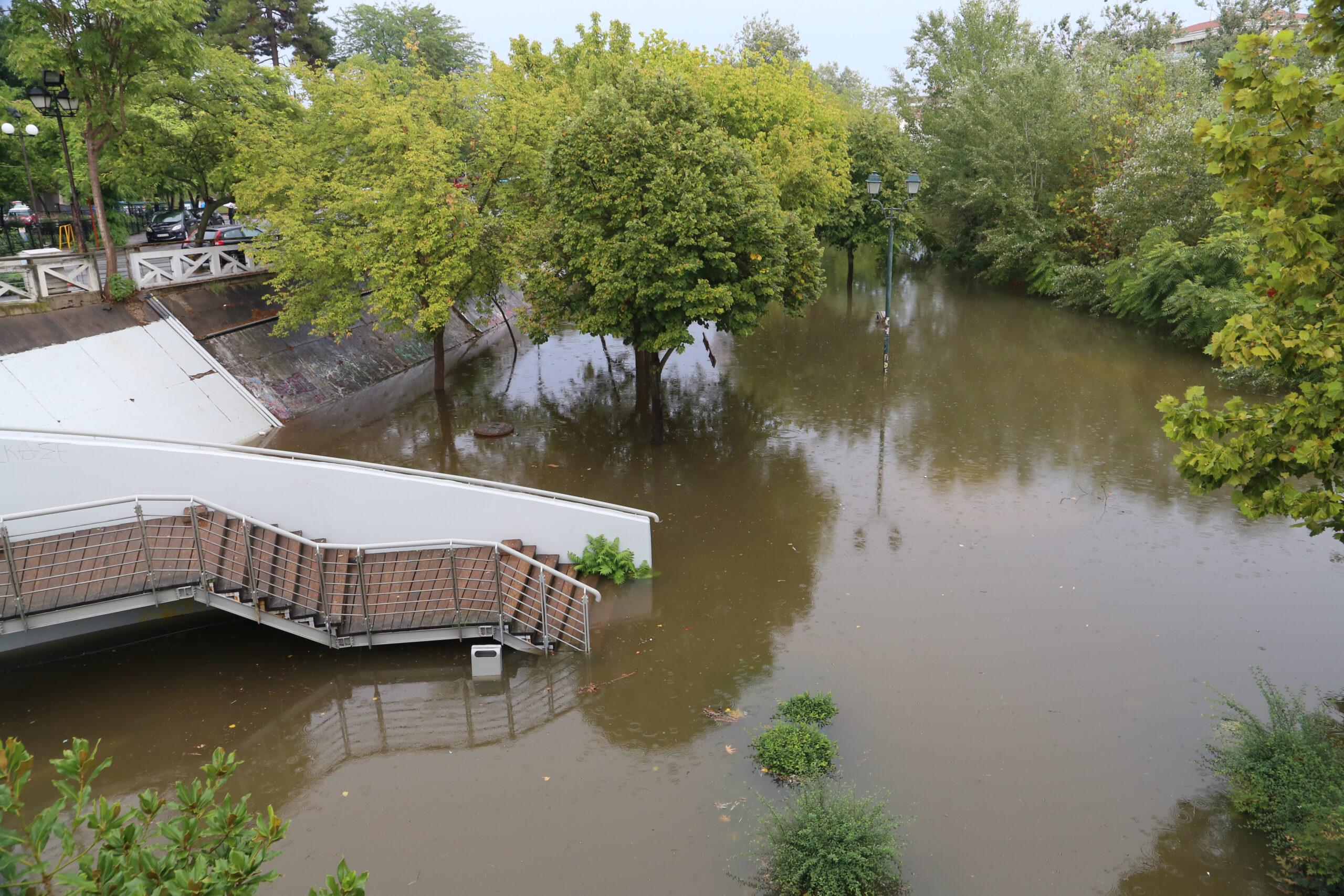 Παγώνη: «Μακριά από το νερό των πλημμυρών, δεν το αγγίζουμε και για τα πιο απλά πράγματα»