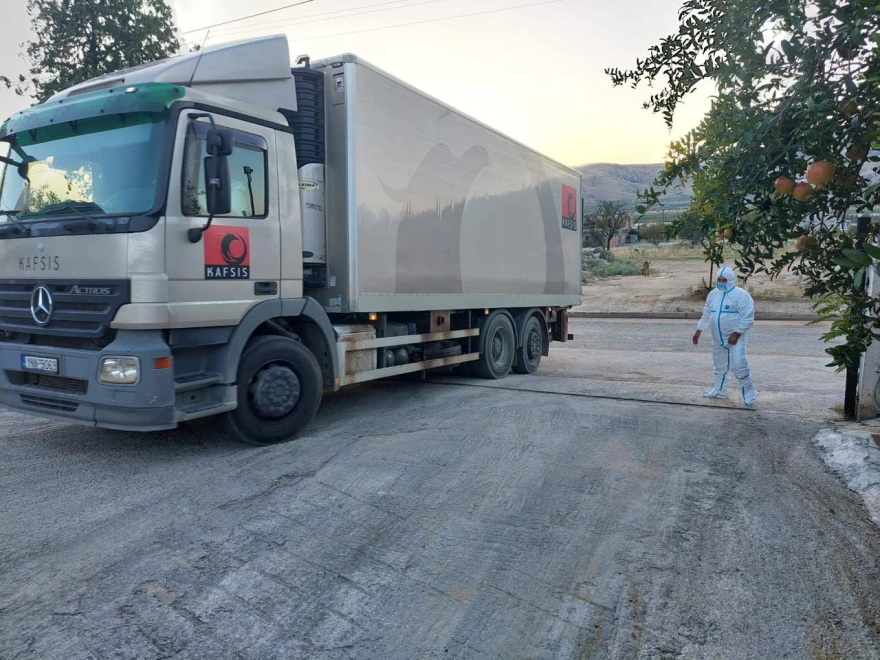 Θεσσαλία: Περισσότερα από 110.000 ζώα έχασαν τη ζωή τους από τις πλημμύρες