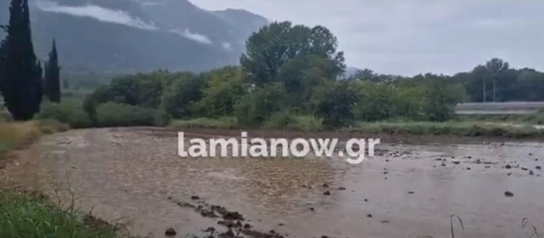 Κακοκαιρία Elias – Μήνυμα 112 για Πετρίλια και Σοφιάδα Φθιώτιδας: «Απομακρυνθείτε λόγω πλημμυρικών φαινομένων»