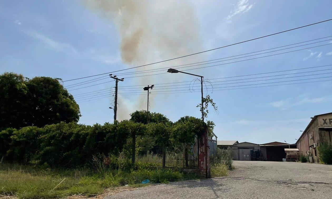 Πάτρα: Φωτιά σε χαμηλή βλάστηση – Καίει κοντά σε σπίτια