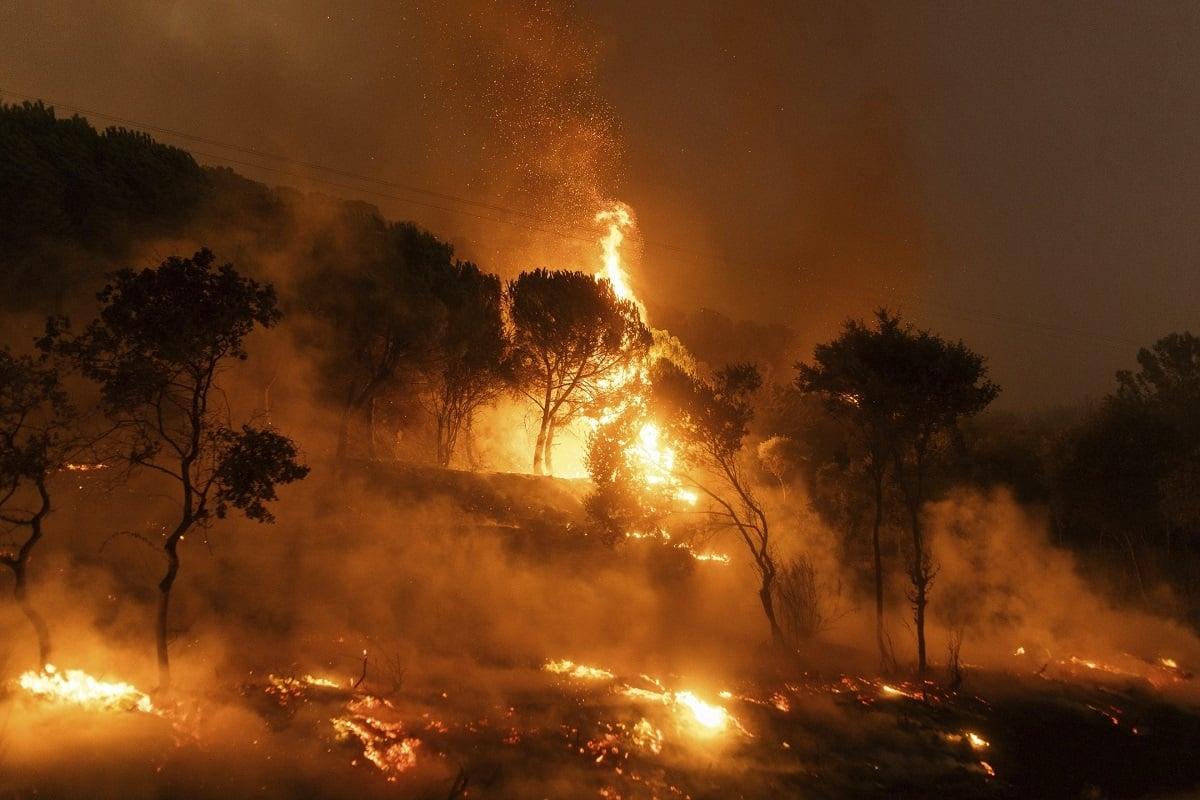 Φωτιά στον Έβρος: Σε συναγερμό πολλές περιοχές την Κυριακή – Μικρή «ανάσα» για τη Λευκίμμη
