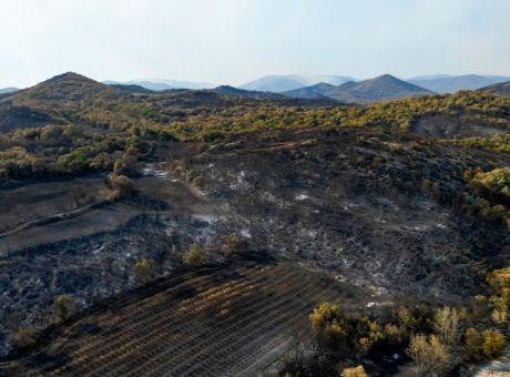 Έβρος: Κάηκε σχεδόν το 60% του δάσους της Δαδιάς από την πυρκαγιά