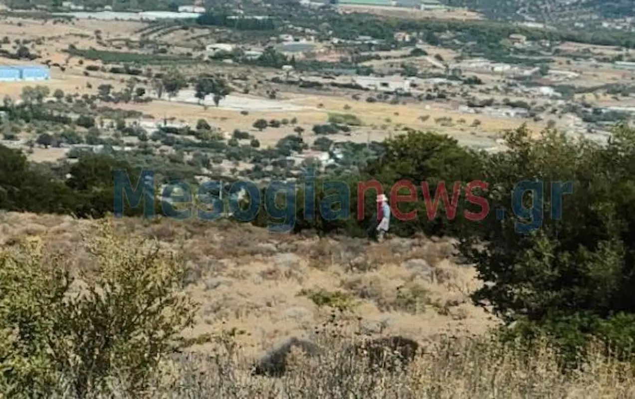 Αττική: Βρέθηκαν ανθρώπινα οστά στο Κορωπί