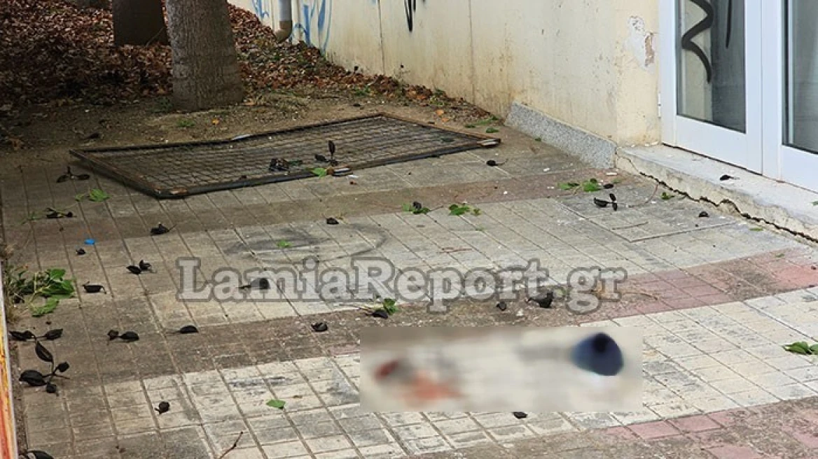 Λαμία: Αγωνία για τον 12χρονο μαθητή που έπεσε από πέντε μέτρα ύψος – Διακομίζεται στο Παίδων