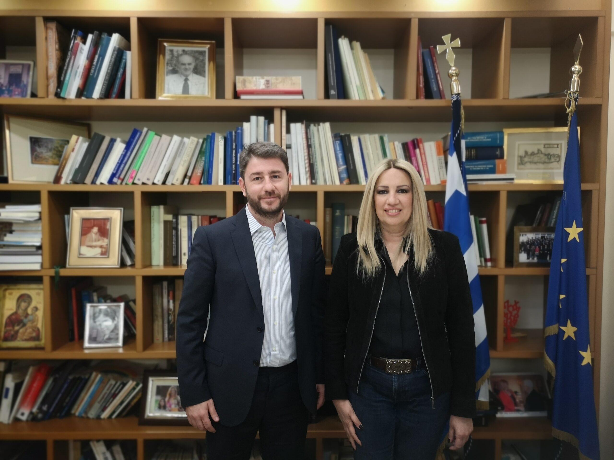 ΠΑΣΟΚ: Ανάρτηση από τον Ν. Ανδρουλάκη για τα δύο χρόνια από τον θάνατο της Φώφης Γεννηματά (ΦΩΤΟ)