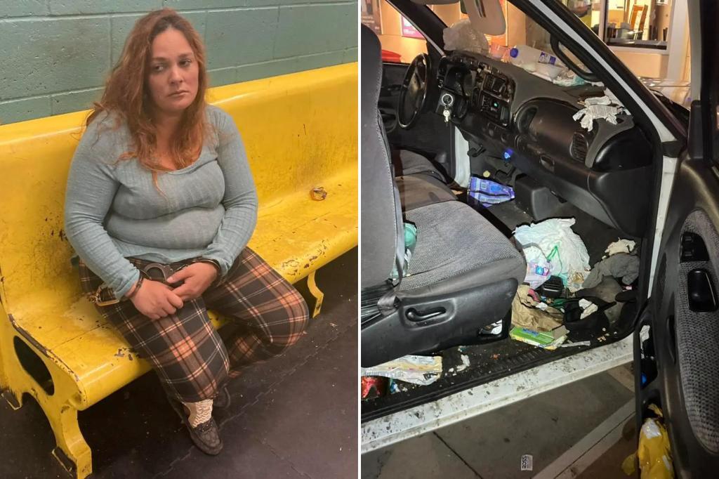 ΗΠΑ: Βιολογική μητέρα απήγαγε τα 8 παιδιά της από τις ανάδοχες οικογένειές τους