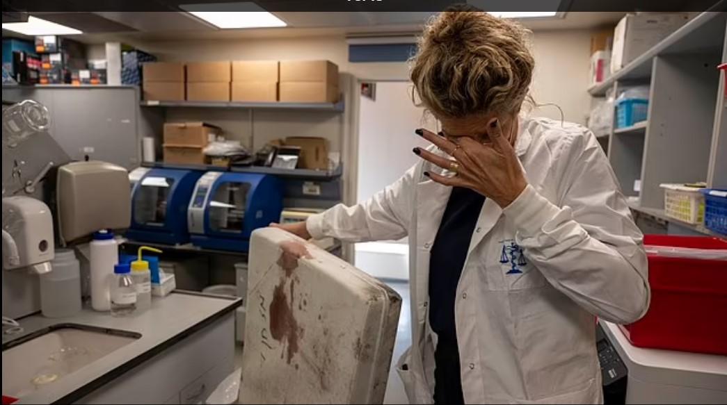 Ιατροδικαστές για θύματα της Χαμάς: «Οι άνθρωποι κακοποιήθηκαν τόσο βάναυσα που δεν αναγνωρίζονται»