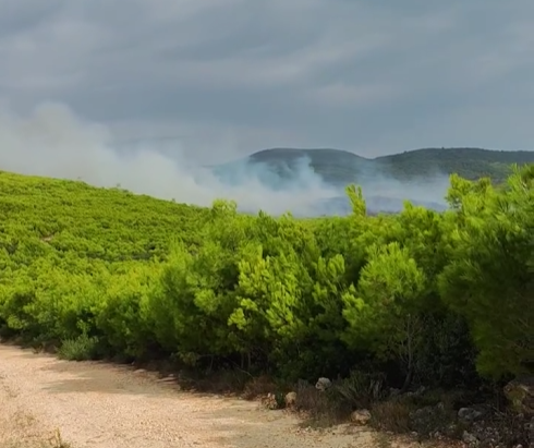 Ζάκυνθος: Φωτιά σε δασική έκταση στις Μαριές