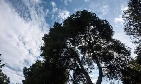Καιρός: Έως τους 30 βαθμούς θα ανέβει η θερμοκρασία – Πού θα πέσουν βροχές