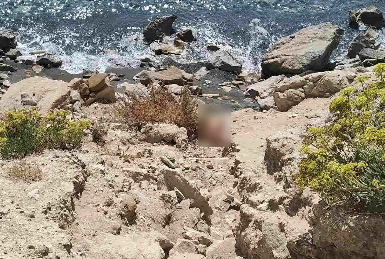 Εύβοια: 60χρονος έπεσε σε γκρεμό 8 μέτρων