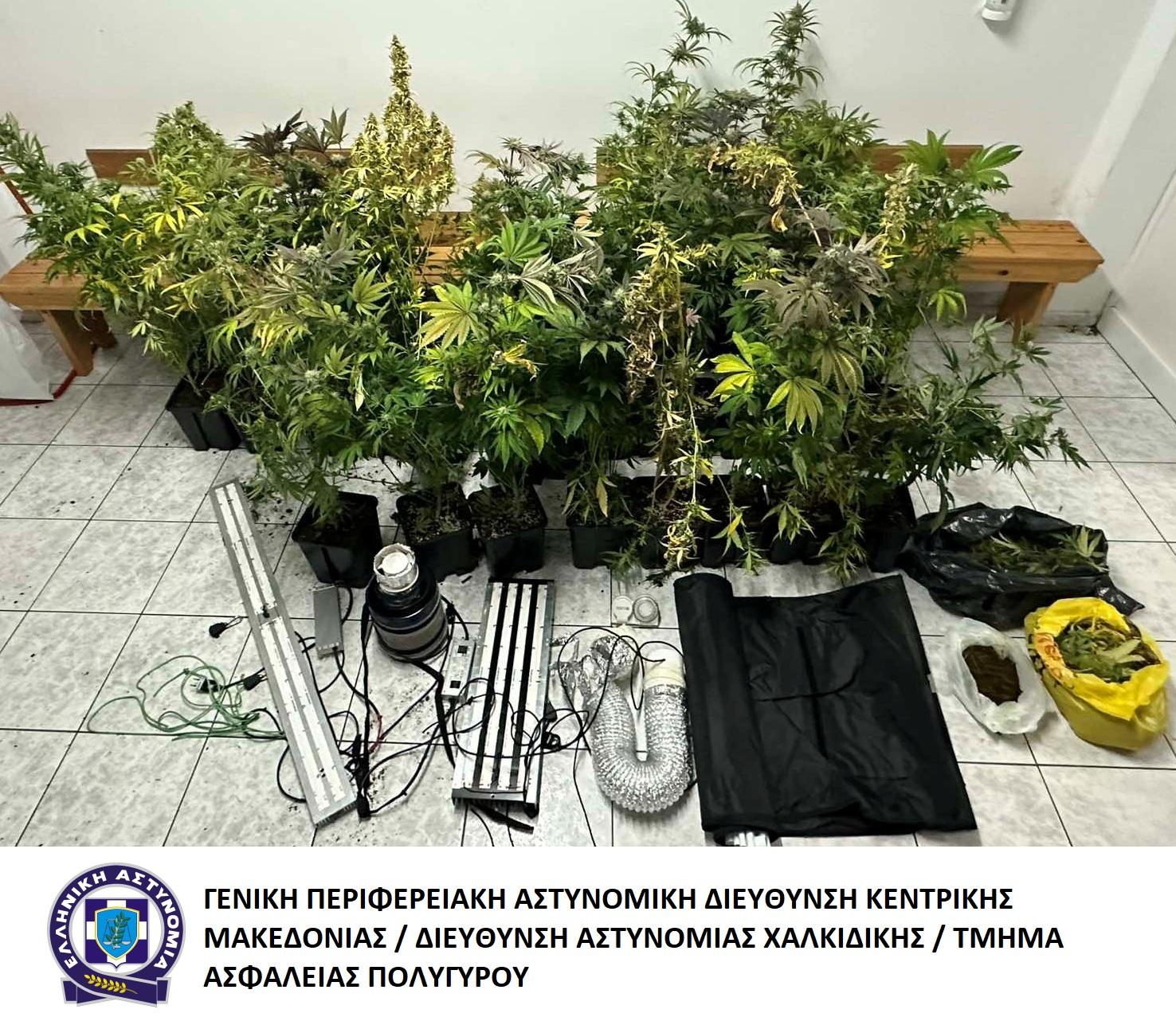 Χαλκιδική: Είχε μετατρέψει το σπίτι του σε εργαστήριο κάναββης (ΒΙΝΤΕΟ)