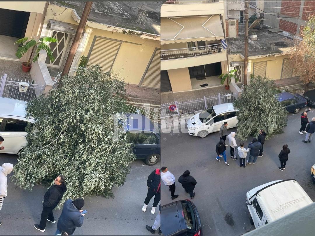 Θεσσαλονίκη: Βίντεο από τη στιγμή που δέντρο πέφτει πάνω σε αυτοκίνητο