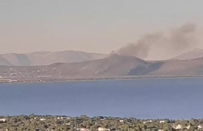 Φωτιά δίπλα από το κωπηλατοδρόμιο στον Σχoινιά