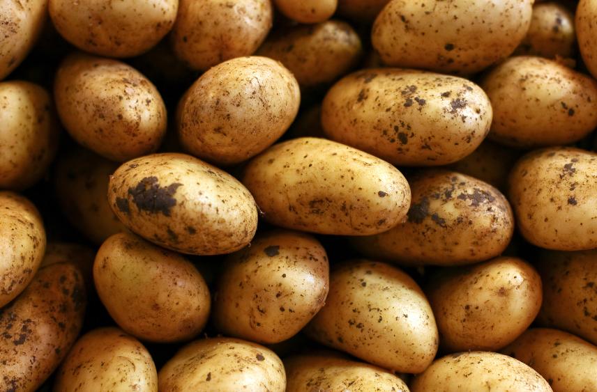 Πατάτα Νάξου: Έχει εξαντληθεί από την αγορά