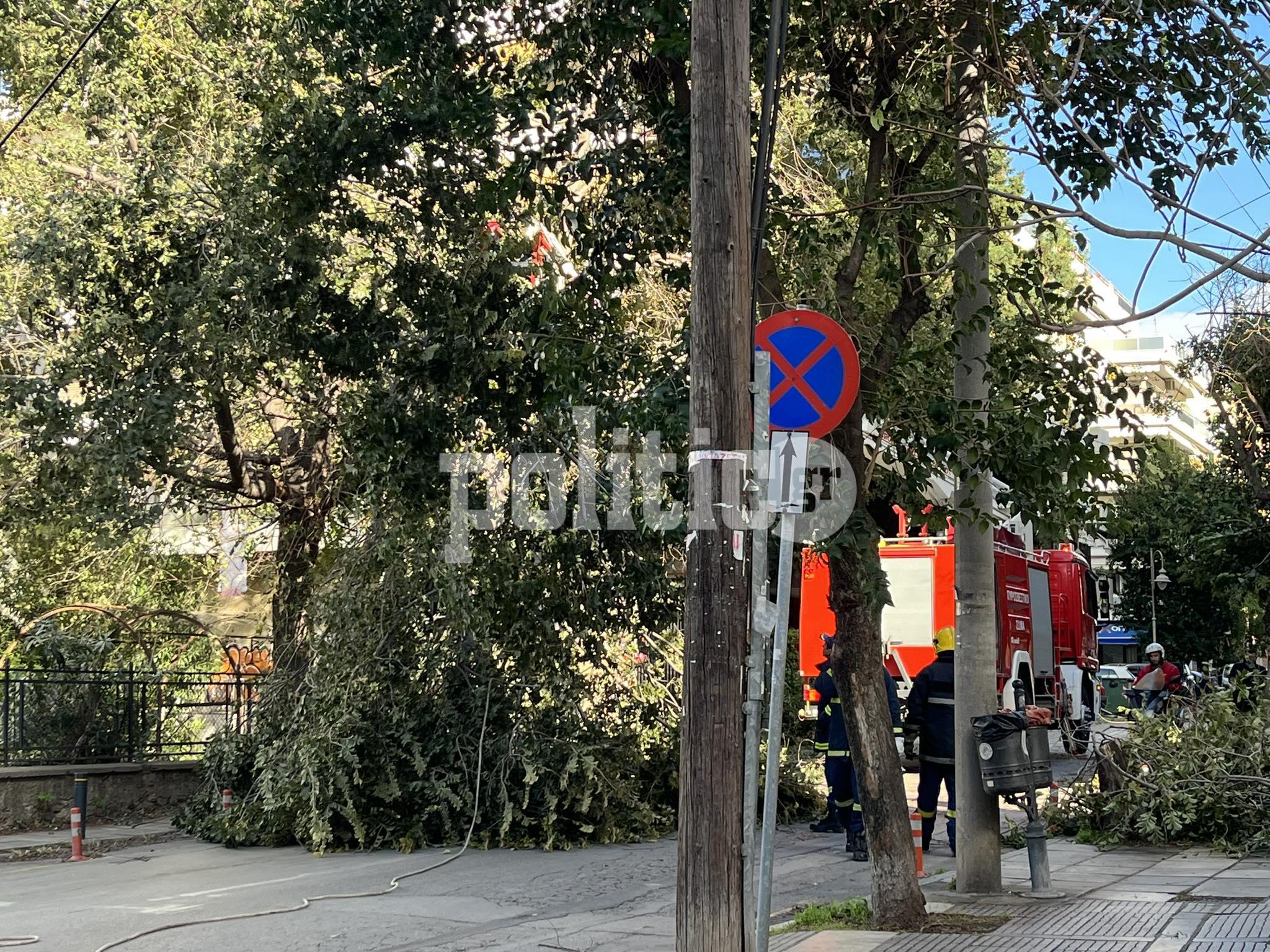 Θεσσαλονίκη: 350 κλήσεις στην Πυροσβεστική από τους θυελλώδεις ανέμους