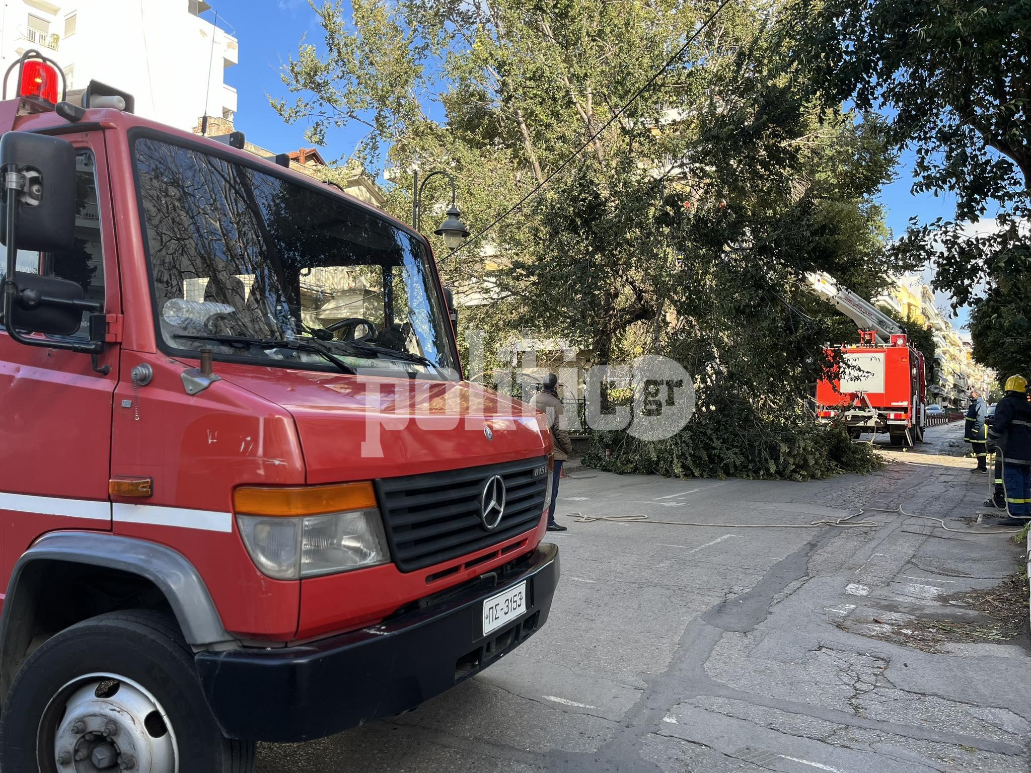 Θεσσαλονίκη: Έκλεισε η Πέτρου Συνδίκα λόγω πτώσης δέντρου – Οι θυελλώδεις άνεμοι δημιούργησαν προβλήματα (ΒΙΝΤΕΟ)