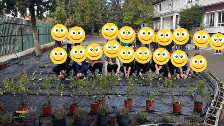 Μαθητές και γονείς στην Πυλαία καλλιεργούν έναν από τους μεγαλύτερους σχολικούς αρωματολαχανόκηπους στη χώρα