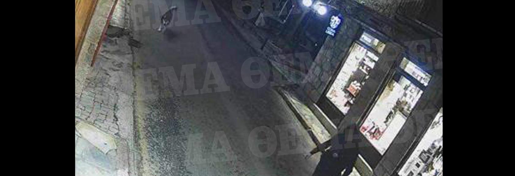 Αράχωβα: Δείτε τις φωτογραφίες που δείχνουν έναν άντρα δίπλα στο Χάσκι