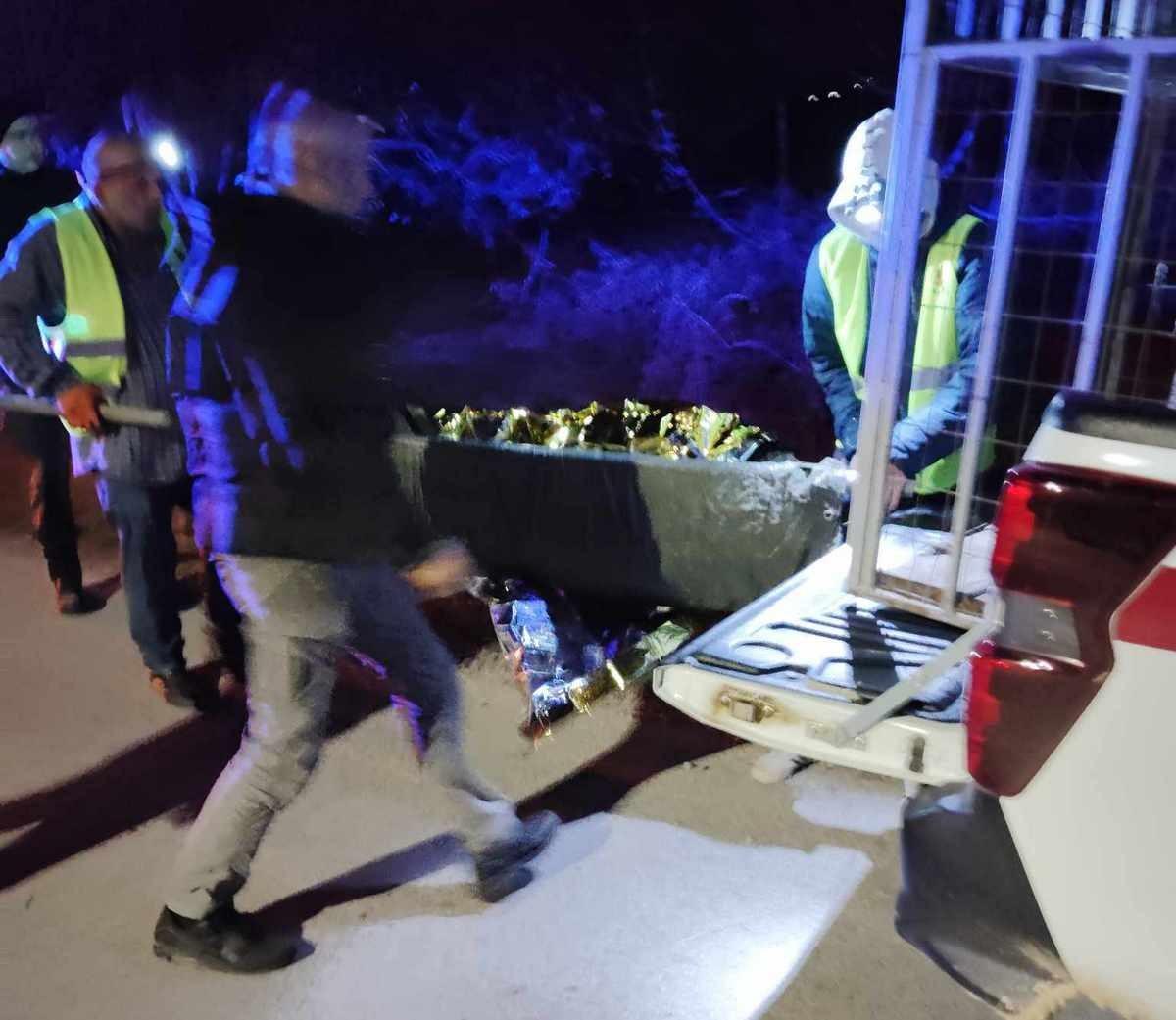 Θεσσαλονίκη: Σύγκρουση αυτοκινήτου με αγριογούρουνο (ΦΩΤΟ)