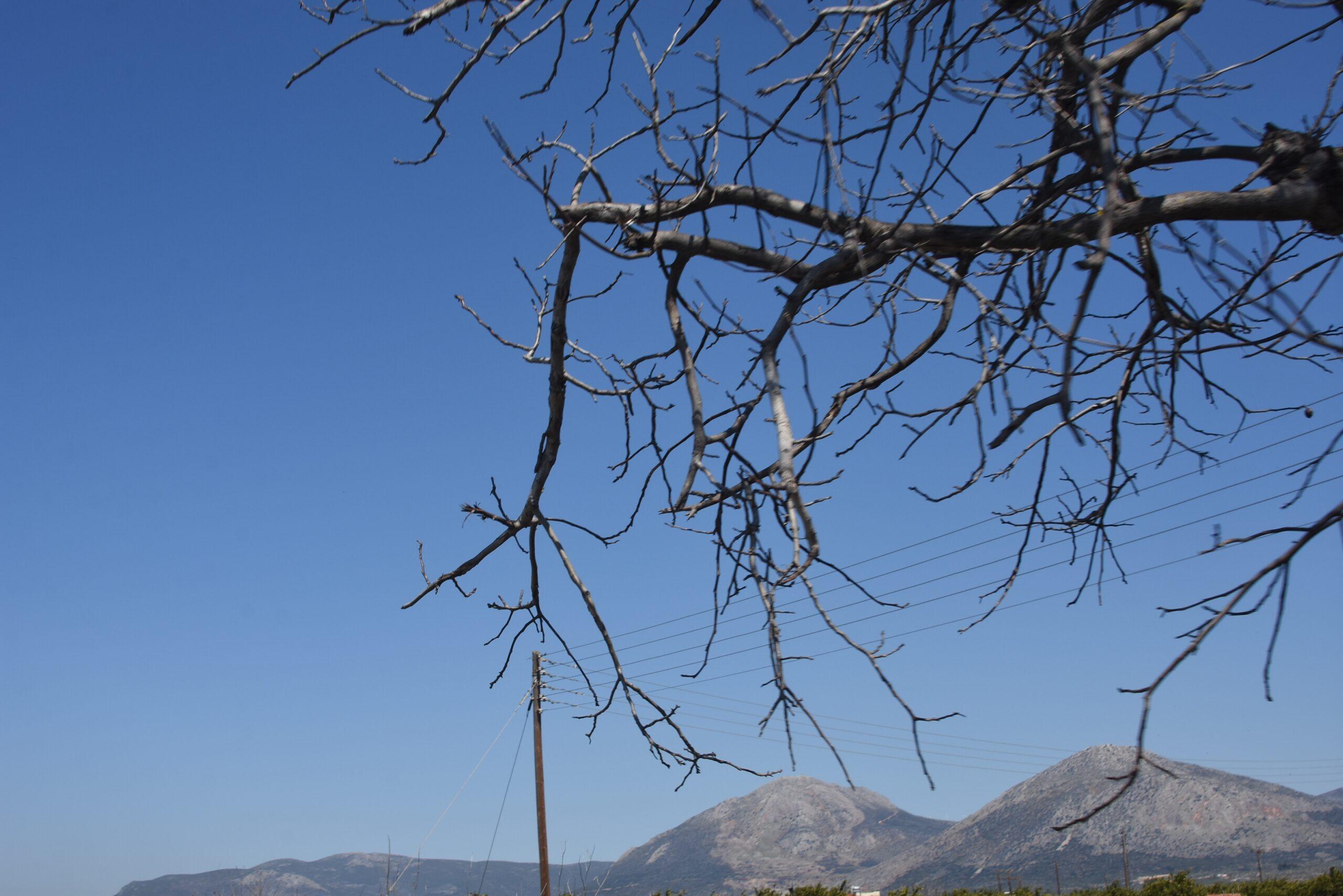 Αίθριος ο καιρός με πολύ χαμηλές θερμοκρασίες 