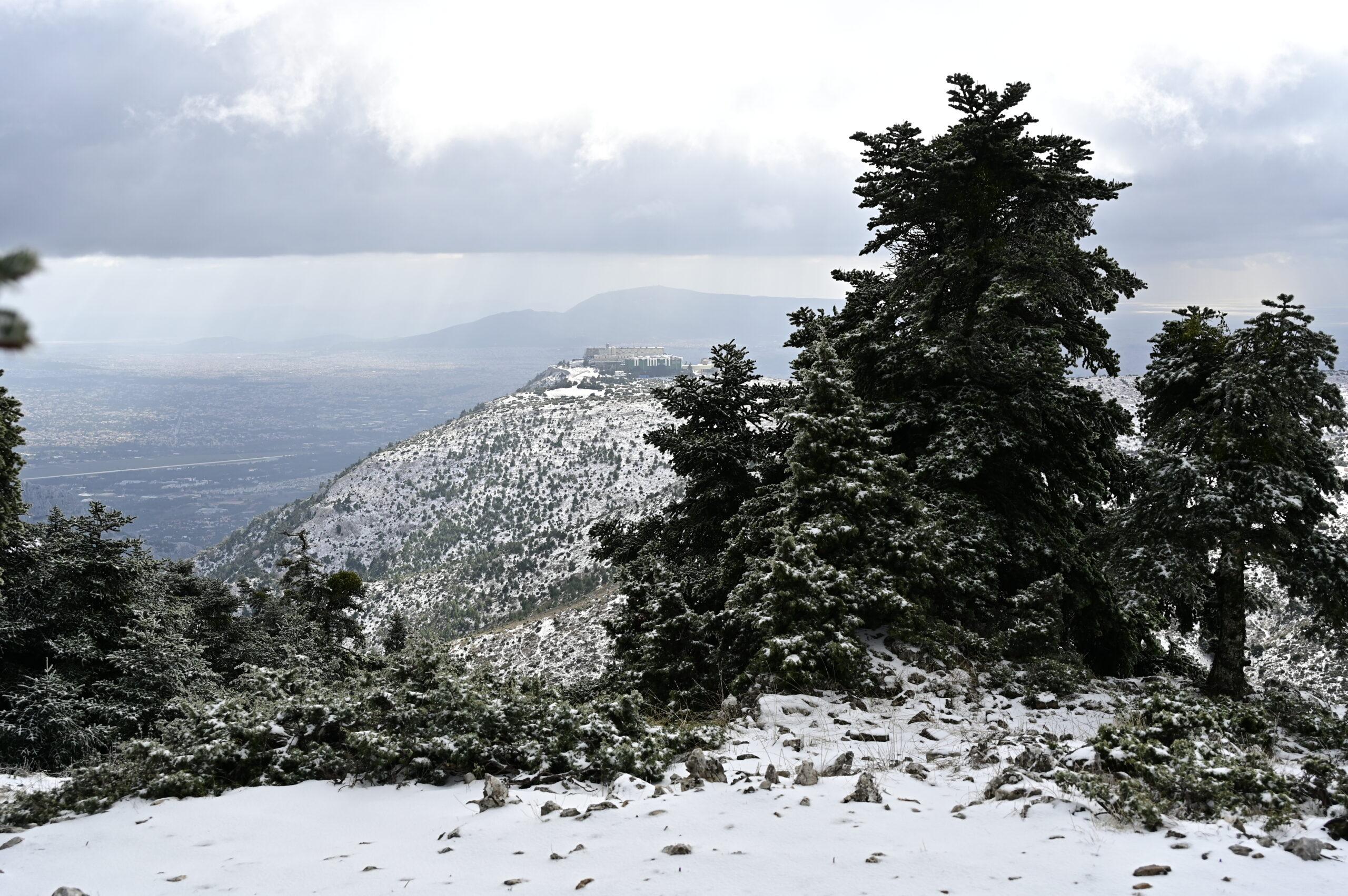 Πάρνηθα: Η πυροσβεστική ζήτησε εναέρια μέσα – Αρνούνται να διασωθούν οι εγκλωβισμένοι