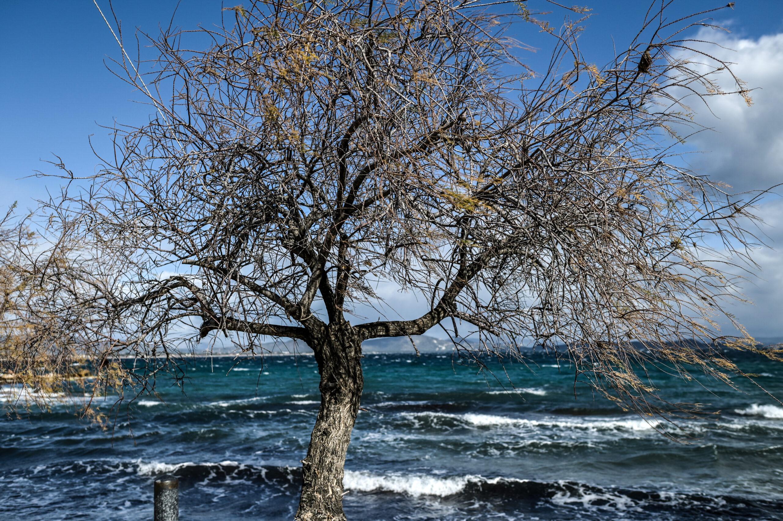 Καιρός: Αλλάζει απότομα το σκηνικό – Έρχονται κεραυνοί και χαλάζι
