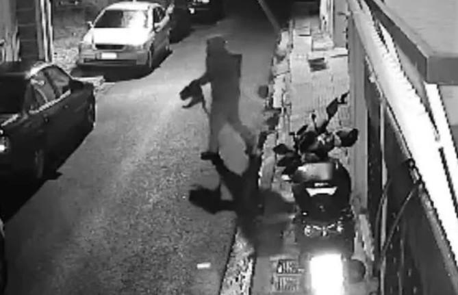 Βοτανικός: Οκτώ χρόνια φυλάκιση χωρίς αναστολή σε άνδρα που βασάνιζε και σκότωνε γάτες (ΒΙΝΤΕΟ)