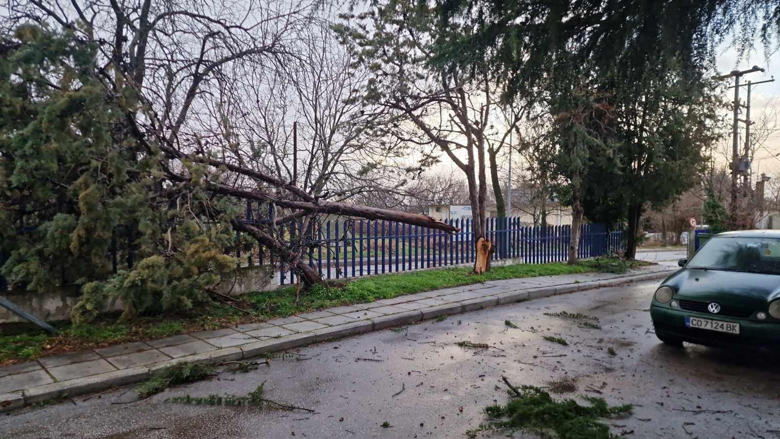 Θεσσαλονίκη: Κλειστά τα σχολεία στον Σοχό λόγω διακοπής ρεύματος και ισχυρών ανέμων