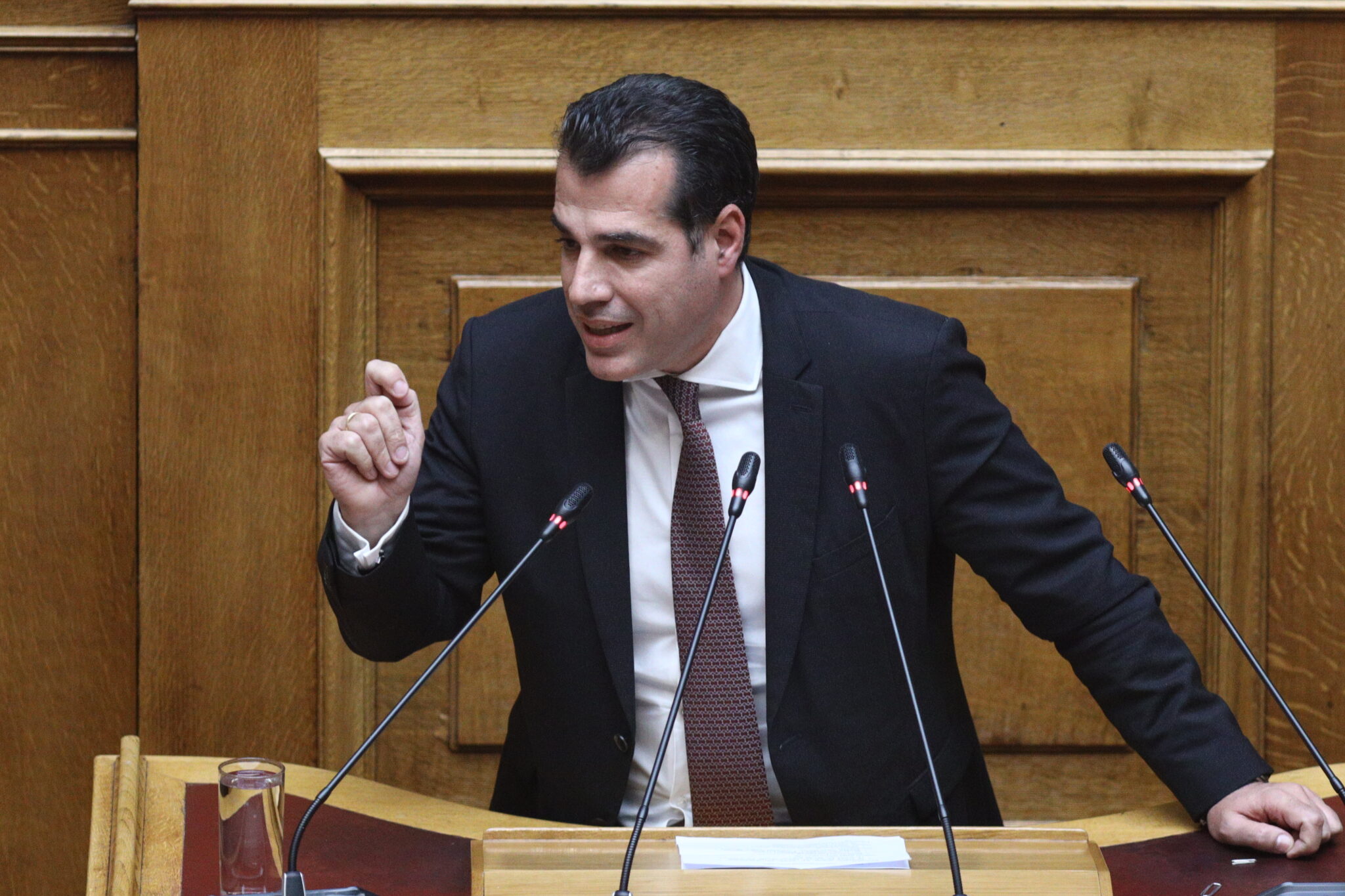 Πλεύρης