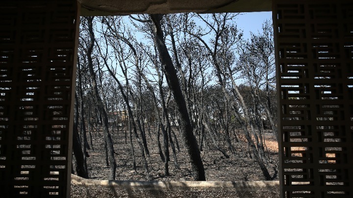 Συνεχίζει την πρόταση του ο Εισαγγελέας στη δίκη για το Μάτι – Ποιους κρίνει ενόχους, ποιους απαλλάσσει, για ποιους θα τοποθετηθεί σήμερα