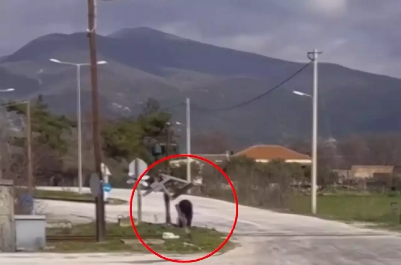 Ξάνθη: Οδηγός σταμάτησε το τρένο για να δει αν περνούν αυτοκίνητα