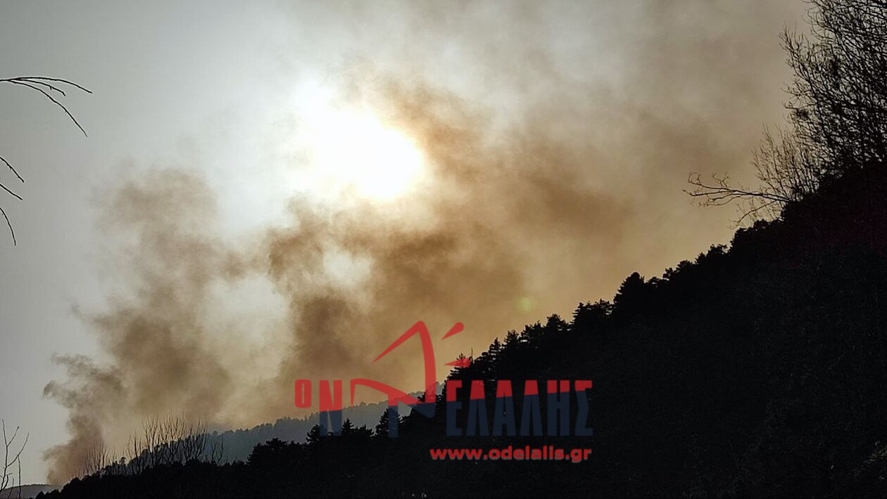 Φωτιά στη Πιέρια: Μαίνεται για δεύτερη μέρα – Ενισχύθηκαν εναέριες και επίγειες δυνάμεις