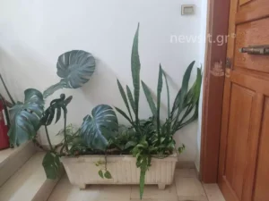 Γλυφάδα