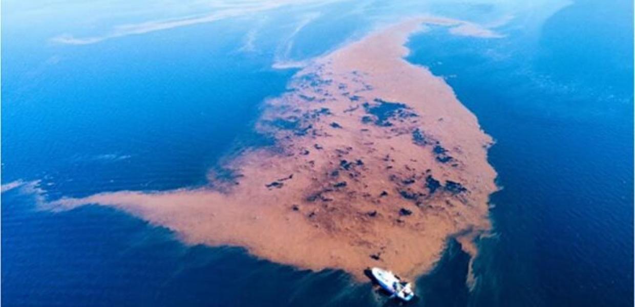 Θεσσαλία: Δημιουργήθηκε νησίδα στον Παγασητικό από τα μπάζα της κακοκαιρίας Daniel