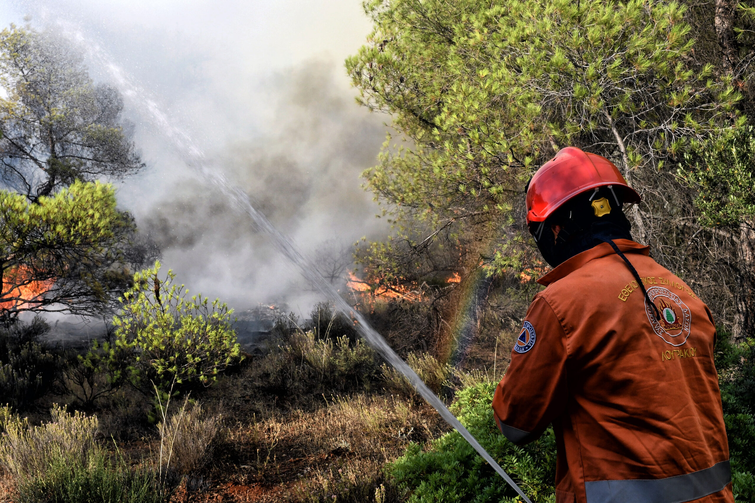 Φθιώτιδα: Φωτιά σε δασική έκταση στο Μαρτίνο – Επιχειρούν εναέρια μέσα