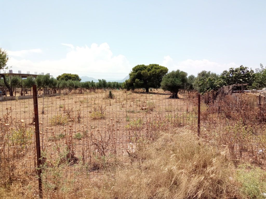 Ακαθάριστα οικόπεδα: Η πλατφόρμα και τα πρόστιμα