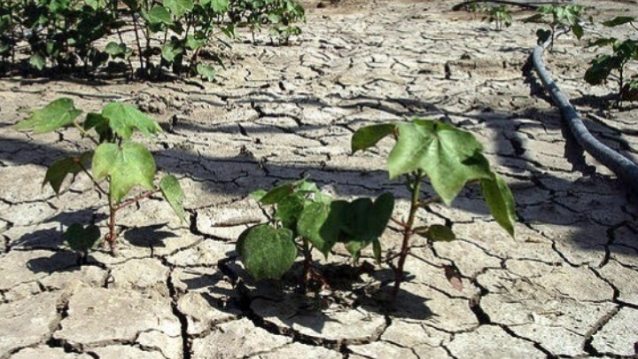 Ο κίνδυνος λειψυδρίας στη Μεσόγειο – Τι λέει στο ΑΠΕ-ΜΠΕ ο Πρύτανης του Δημοκρίτειου Πανεπιστημίου Θράκης