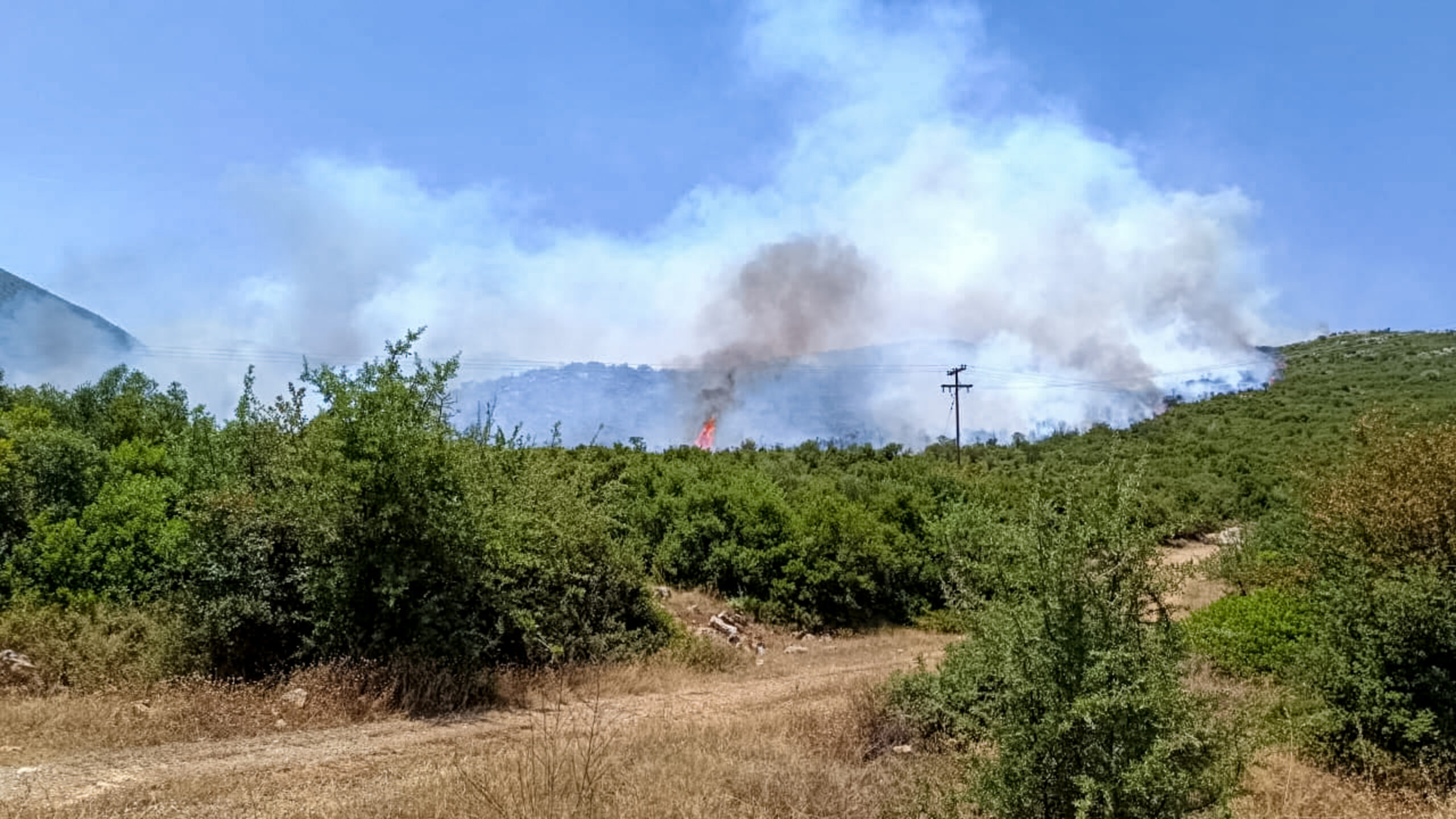 Συνολικά 45 φωτιές σε όλη τη χώρα μέσα σε λίγες ώρες | Εστάλησαν 11 μηνύματα από το 112