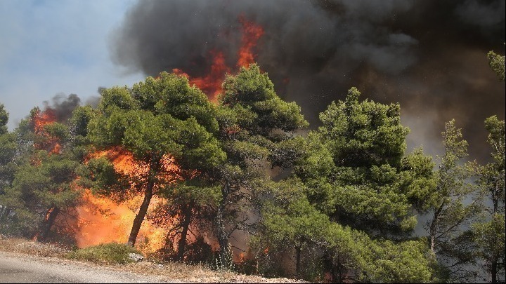 Εκδηλώθηκαν 44 πυρκαγιές το τελευταίο 24ωρο σε όλη τη χώρα