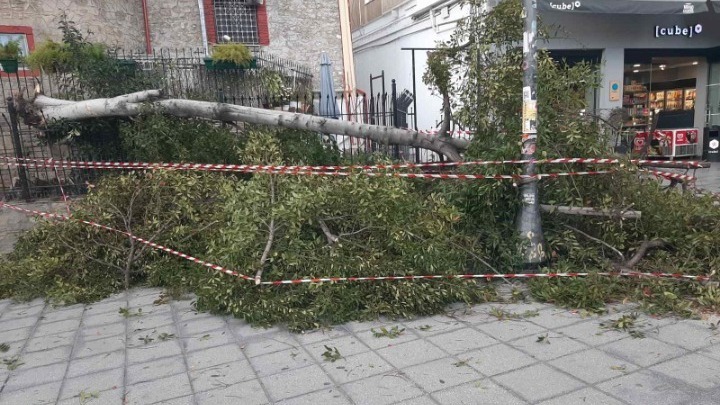 Ένας άνδρας έχασε τη ζωή του από πτώση δέντρου στου Παπάγου